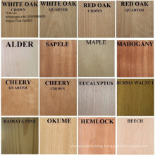 Engineered/Artificial/Recon Wood Veneer